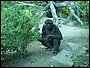 100_1366.JPG