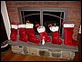 IMG_0237.jpg