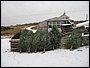 IMG_1145.jpg