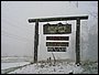 IMG_1181.jpg
