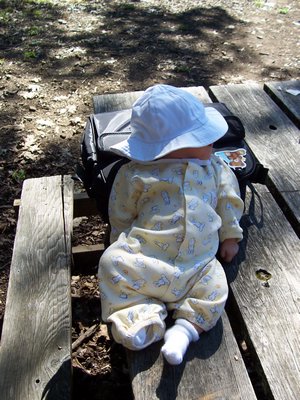 100_1040.JPG