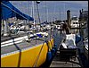 100_0950.JPG