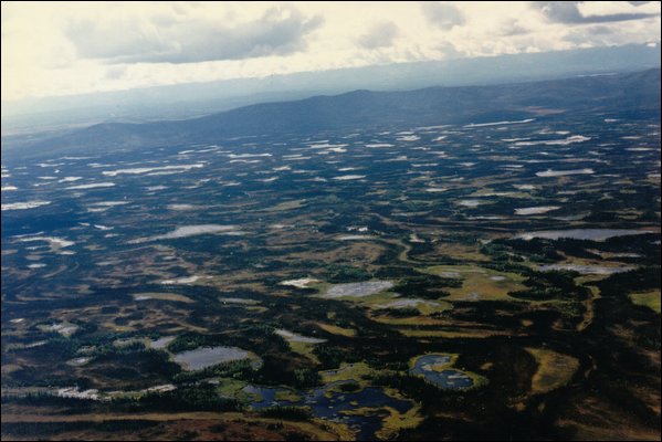 A76.jpg