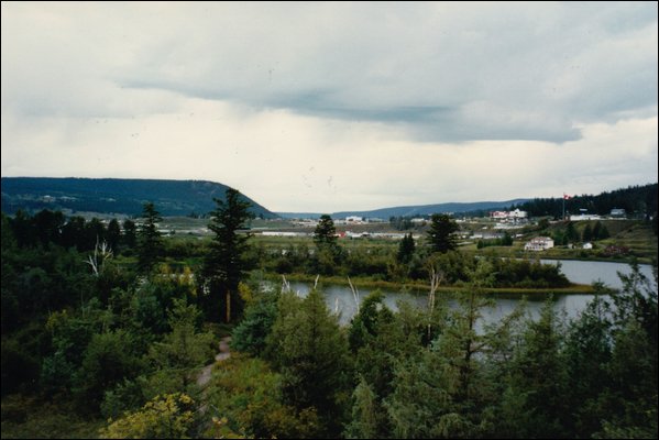 A90.jpg