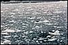 A49.jpg