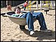 IMG_9497.jpg