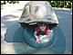 IMG_0107.jpg