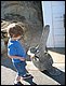 IMG_9801.jpg