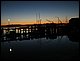 IMG_9873.jpg
