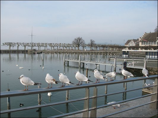 IMG_7141.jpg