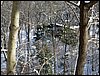 IMG_0863.jpg