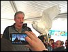 IMG_0970.jpg