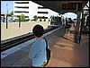 P1050273.jpg