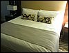 IMG_2447.jpg