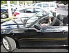 IMG_2504.jpg