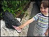 IMG_2507.jpg