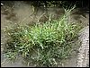 IMG_2566.jpg