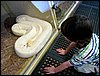 IMG_2638.jpg