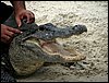 IMG_2668.jpg