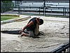IMG_2671.jpg