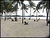 IMG_2717.jpg