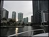IMG_2809.jpg