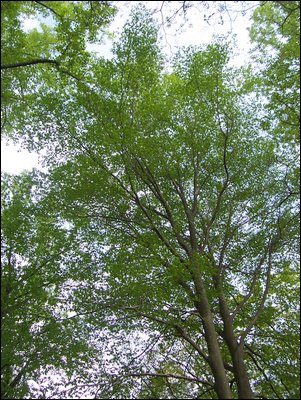 100_3618.JPG