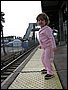 IMG_0540.jpg