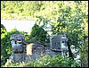 IMG_1341.jpg