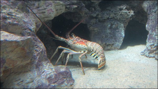 IMG_9511.jpg