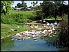 IMG_5728.jpg
