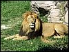 IMG_5747.jpg