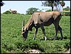 IMG_5755.jpg