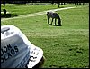 IMG_5758.jpg