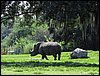 IMG_5759.jpg