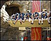 IMG_5783.jpg