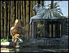 IMG_5806.jpg