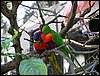 IMG_5847.jpg