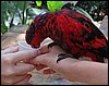 IMG_5850.jpg