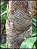 IMG_6834.jpg