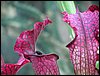 IMG_6903.jpg