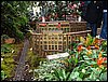 IMG_6920.jpg
