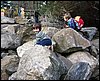 IMG_6971.jpg