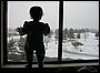IMG_0131.jpg