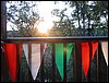 IMG_1487.jpg
