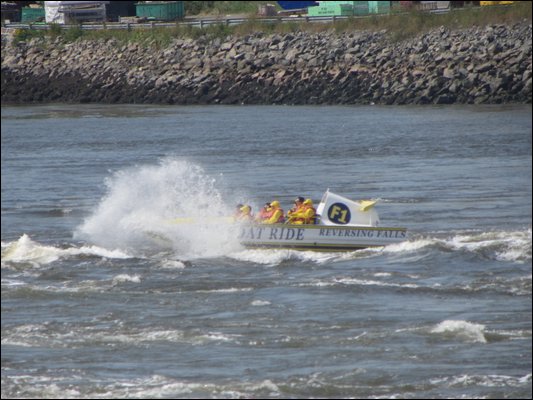 IMG_1352.jpg