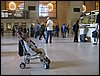 IMG_1222.jpg