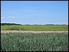 IMG_3683.jpg