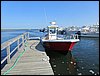 IMG_3771.jpg