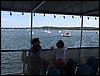 IMG_3901.jpg